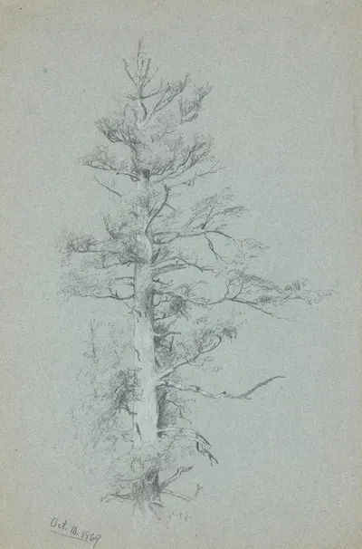 Tree Study by Джервис Макинти, 1869 — digital art print download