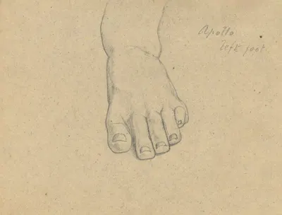 Study for The Judgment of Jupiter (Apollo, left foot) by Samuel Finley Breese Morse — digital art print download