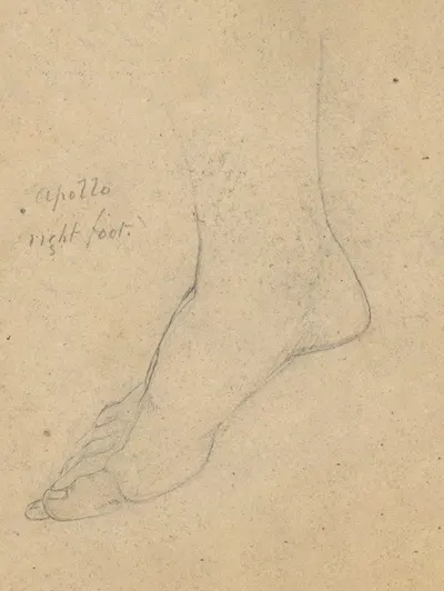 Study for the Judgment of Jupiter (Apollo, right foot) by Самуэль Финли Бриз Морс — digital art print download