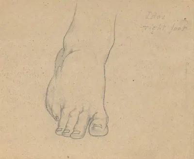 Study for the Judgment of Jupiter (Idas, right foot) by Самуэль Финли Бриз Морс — digital art print download