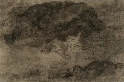 A tiger sprawling among the rocks by Антуан-Луи Барье — digital art print download