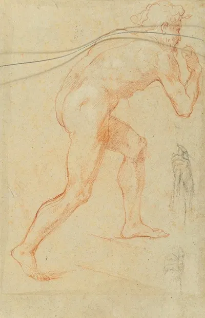 A male nude in profile climbing a staircase by Baldassarre Franceschini — digital art print download