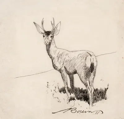 Standing Buck by Эдвард Борейн, 1897 — digital art print download