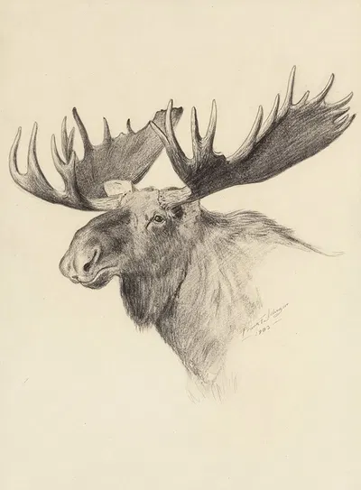 Moose Head by Фрэнк Тенни Джонсон, 1903 — digital art print download