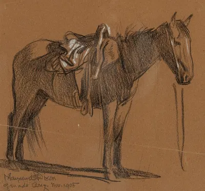 Horse Study by Мейнард Диксон, 1905 — digital art print download