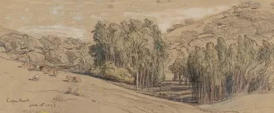 Eucalyptus Groves on the Cooper Ranch, Santa Barbara by Samuel Colman, 1898 — digital art print download