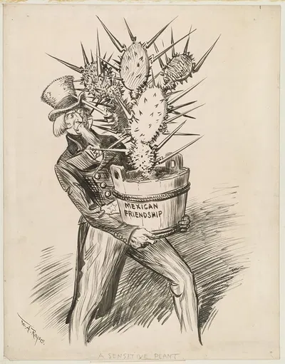 A sensitive plant by William Allen Rogers, 1916 — digital art print download