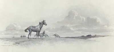 He Roamed the Open Range by Уильям Херберт Дантон, 1916 — digital art print download