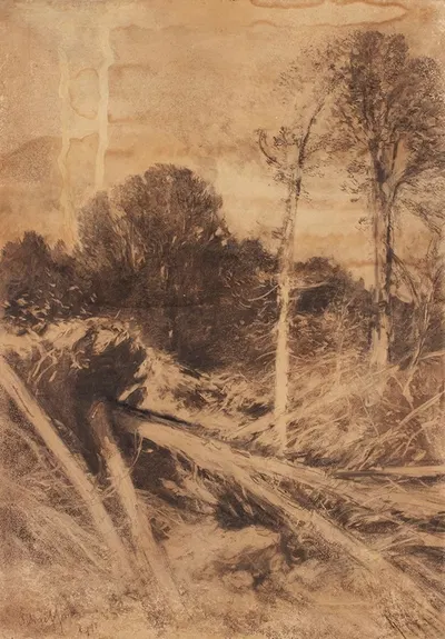 Baumstudie by Август Шеффер фон Винвальд, 1911 — digital art print download