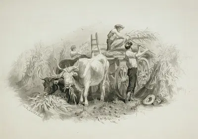 Haying Scene by Феликс Октавиус Карр Дарли — digital art print download