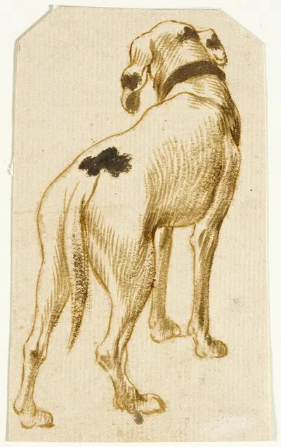 Studies of Dogs by Франс Снайдерс — digital art print download