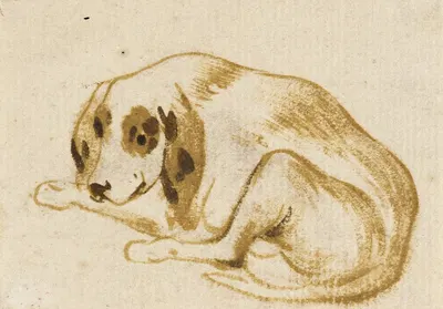 Studies of Dogs by Франс Снайдерс — digital art print download