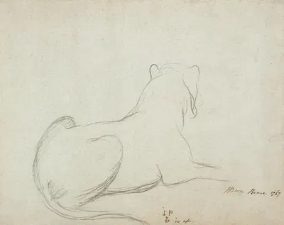 Lioness by James Barry, 1767 — digital art print download