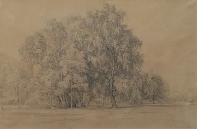 Birkengruppe im Park von Schloss Seebenstein in Niederösterreich by Йозеф Хёгер, 1866 — digital art print download