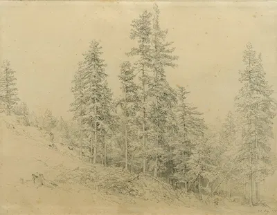Edeltann by Йозеф Хёгер, 1863 — digital art print download