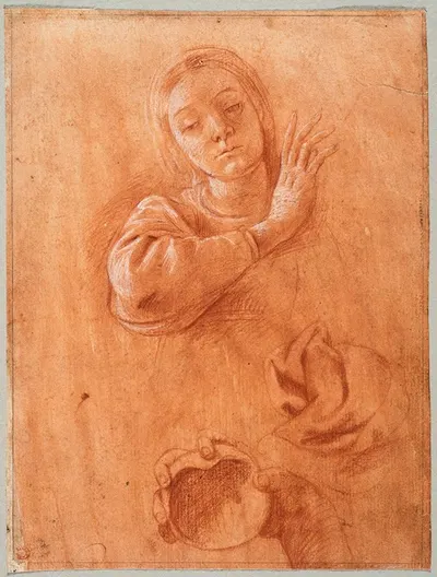 Studies of the Virgin, Drapery, and the Hand of Saint John the Baptist Holding a Shell by Танцио да Варалло — digital art…