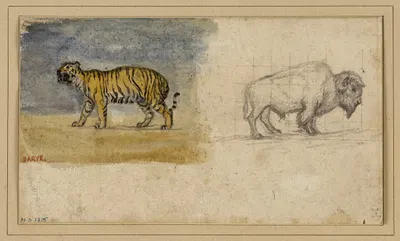 Etude d'un tigre et d'un bison by Антуан-Луи Барье — digital art print download