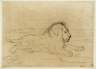 Lion couché by Антуан-Луи Барье — digital art print download