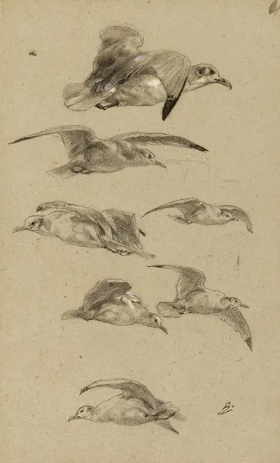 Mouettes by Феликс Браккемонд — digital art print download