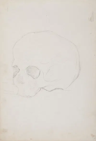 szkic trupiej czaszki by Ferdynand Bryll, 1883 - 1886 — digital art print download
