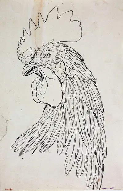 Etude de coq by Guillaume Boichot, 1735 - 1814 — digital art print download