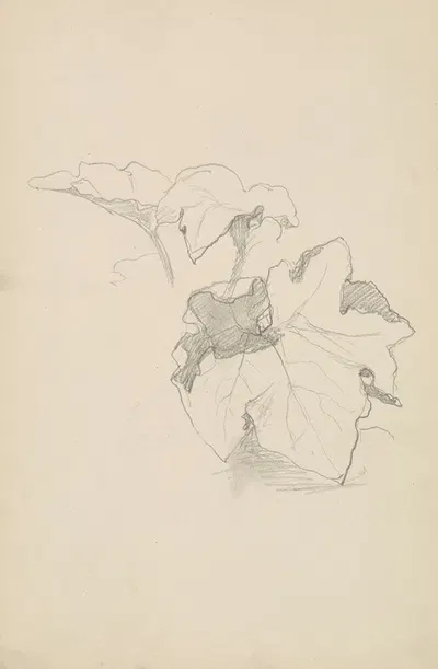 szkic liści winnej latorośli by Генрик Симирядзкий, 1883 — digital art print download