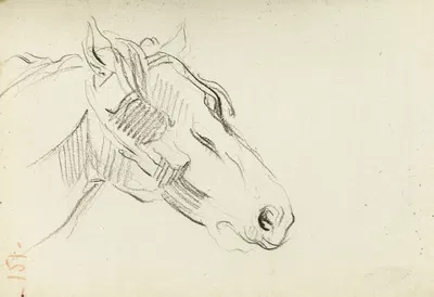 Etude de tête de cheval by Жан-Батист Карпо, 1872 — digital art print download