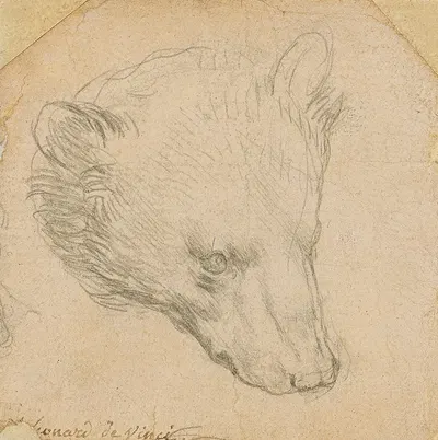Head of a bear by Леонардо да Винчи — digital art print download