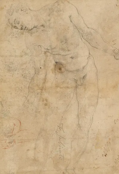 Study of a nude male youth, and a small study of a putto by Prospero Fontana — digital art print download
