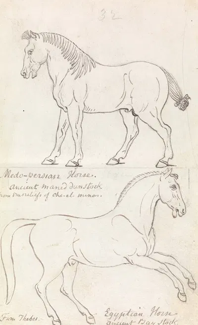 Medo-Persian Horse and Egyptian Horse by Чарльз Гамильтон Смит, 1837 — digital art print download