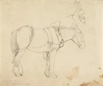 Studies of a Carthorse by Корнелиус Варли — digital art print download