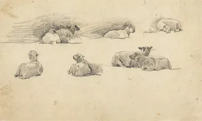 Study of Sheep by Корнелиус Варли — digital art print download