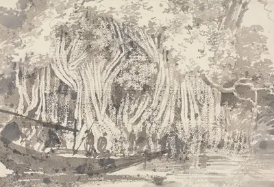 A Pipul Tree by Джордж Чиннери — digital art print download
