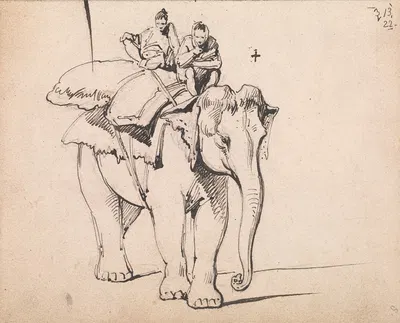 An Elephant by Джордж Чиннери — digital art print download
