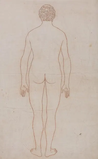Human Body, Posterior View by George Stubbs — digital art print download
