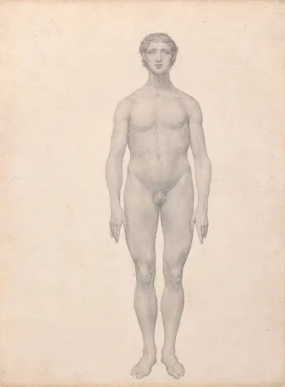 Human Figure, Anterior View, Undissected by George Stubbs — digital art print download