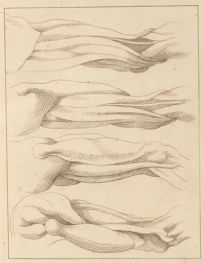 Anatomical Studies of Legs. by Hamlet Winstanley, 1716 — digital art print download
