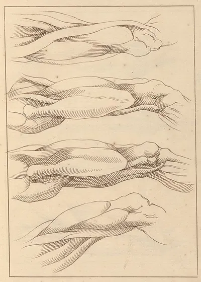 Anatomical Studies of Legs. by Hamlet Winstanley, 1716 — digital art print download