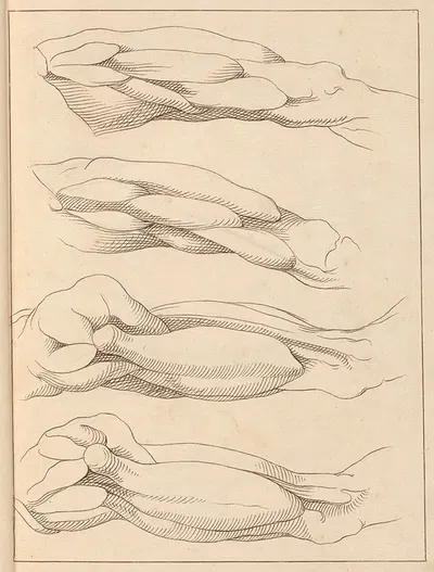 Anatomical Studies of Legs by Hamlet Winstanley, 1716 — digital art print download