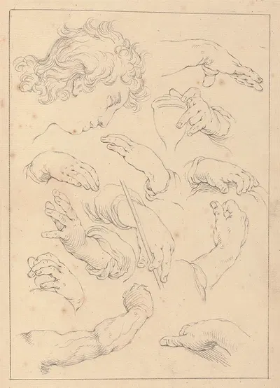 Various Sketches of Hands, Heads, and Arms by Hamlet Winstanley — digital art print download