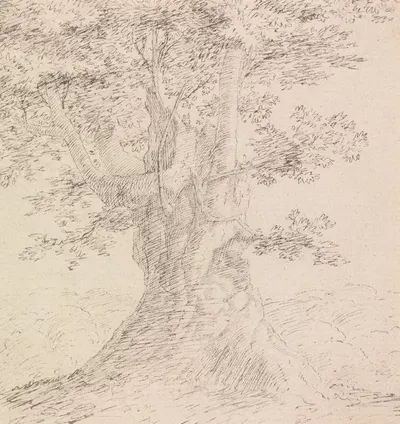 Tree Study by Генри Свинберн — digital art print download