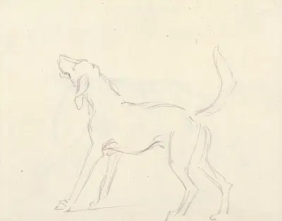 A Hound with head up by James Seymour — digital art print download