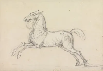 Flying Childers Galloping to Left; Bridled but not Saddled by Джеймс Сеймур — digital art print download