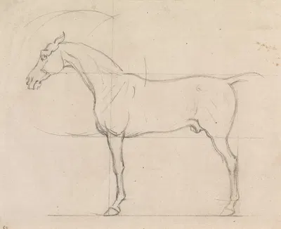 Profile of a Horse Facing Left by Джеймс Сеймур — digital art print download