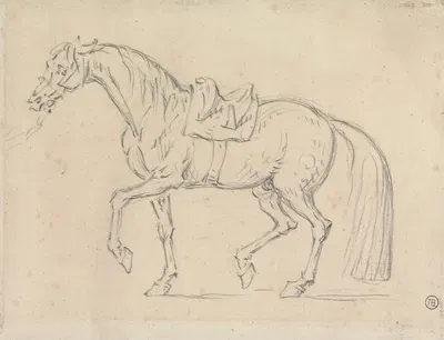 Saddled Horse, Walking to Left by Джеймс Сеймур — digital art print download