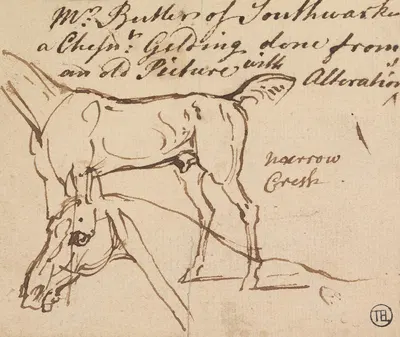 Sketches of a Gelding by Джеймс Сеймур — digital art print download