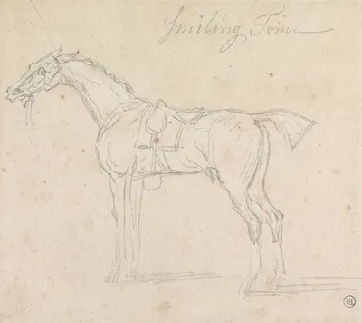 Smiling Tom, Saddled and Bridled; Standing, Facing Left by Джеймс Сеймур — digital art print download