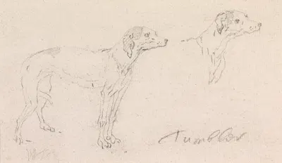 Two Studies of Tumbler, a Dog by Джеймс Сеймур — digital art print download