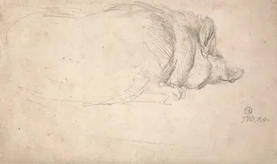 A Hog, Sleeping by James Ward — digital art print download