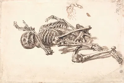 A Human Skeleton by James Ward — digital art print download